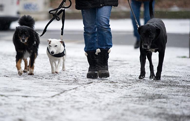 Winter in Berlin 2014