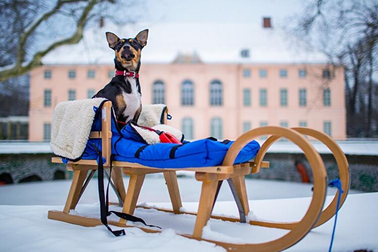 Winter in Berlin 2014