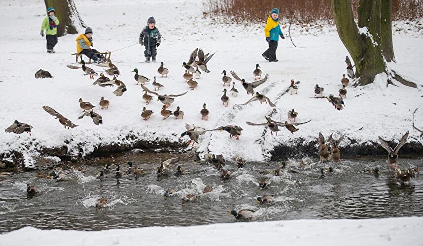 Winter in Berlin 2014