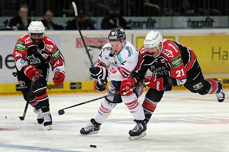 Eishockey Bundesliga 40. Spieltag