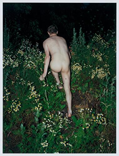 JH Engström: From Back Home