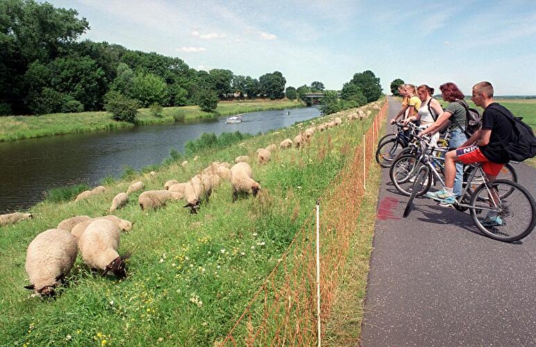 Nationalpark Unteres Odertal