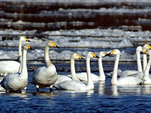 Nationalpark Unteres Odertal