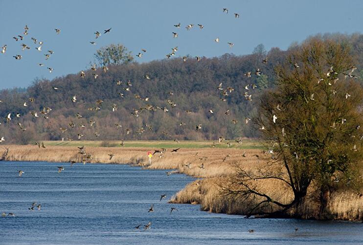 Nationalpark Unteres Odertal