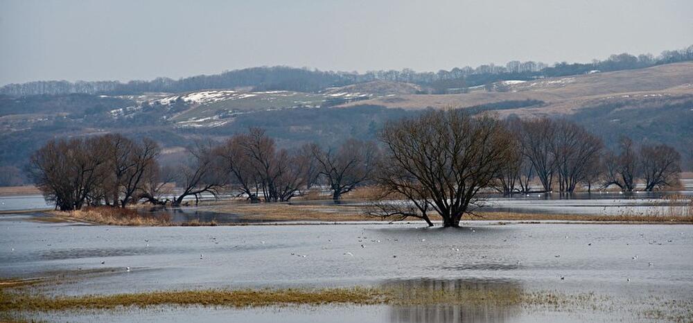 Nationalpark Unteres Odertal