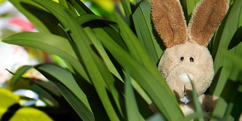 Osterhase als Plüschtier