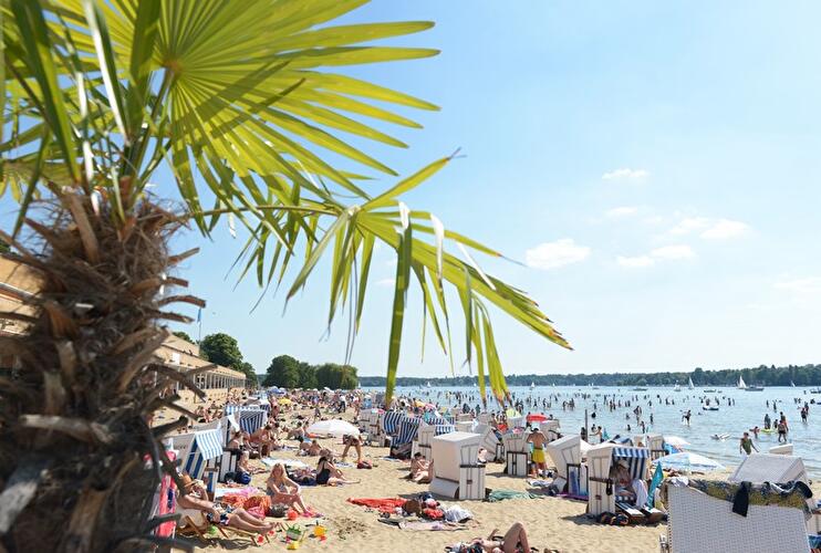 Impressionen aus dem sommerlichen Berlin 2014