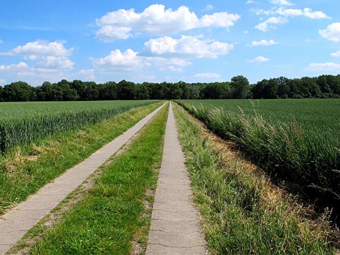 Radweg in der Prignitz
