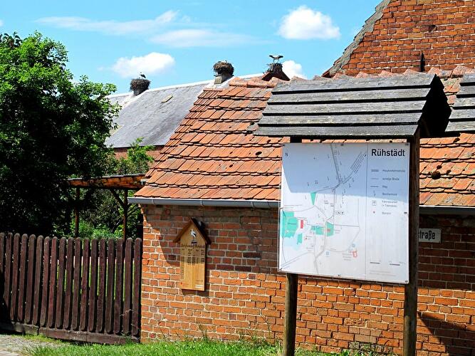 Storchendorf Rühstädt in der Prignitz