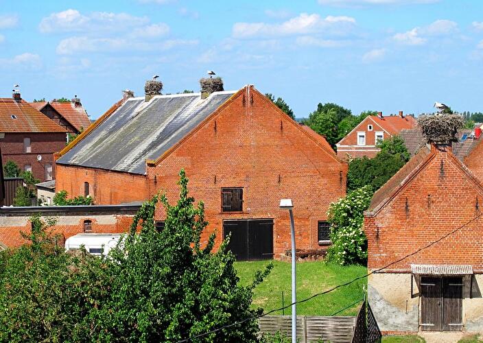 Storchendorf Rühstädt in der Prignitz