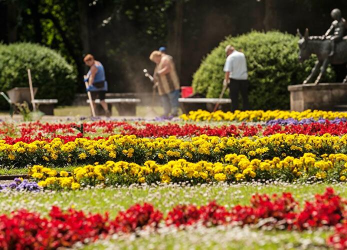 Impressionen aus dem sommerlichen Berlin 2014