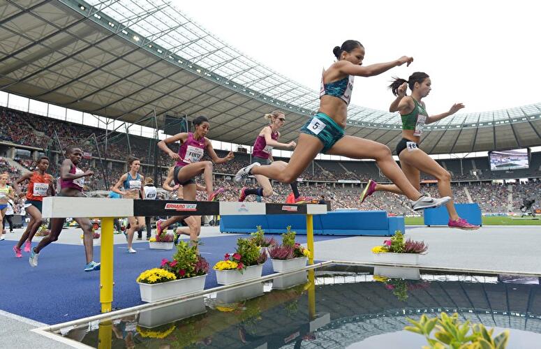 ISTAF 2014