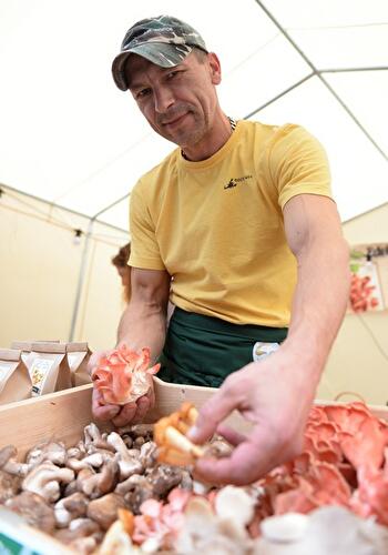 Stadt, Land, Food 2014