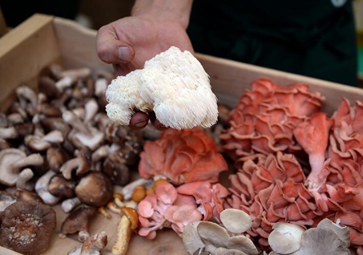 Stadt, Land, Food 2014