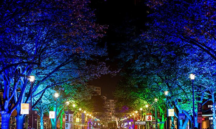 Festival of Lights