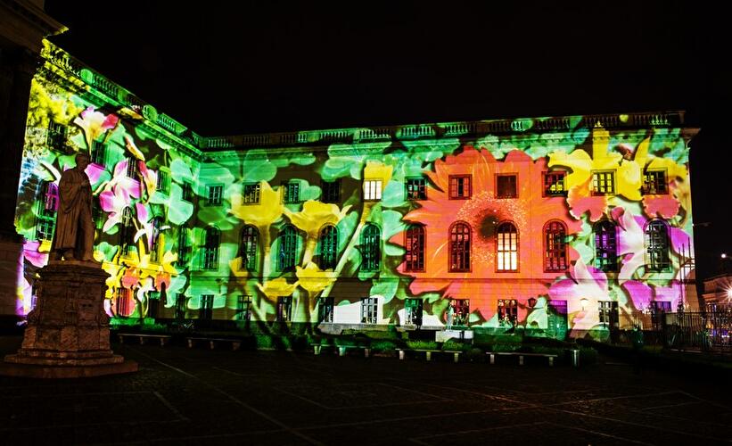 Festival of Lights