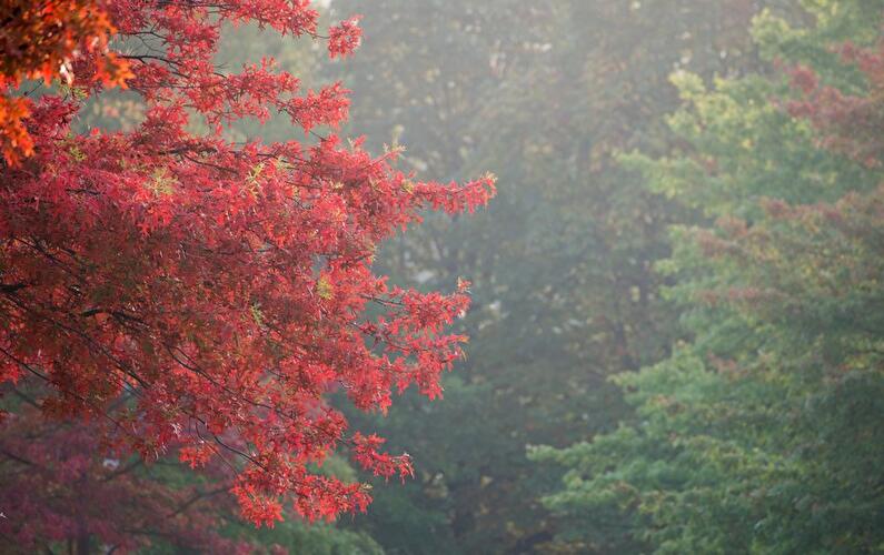 Herbst 2014