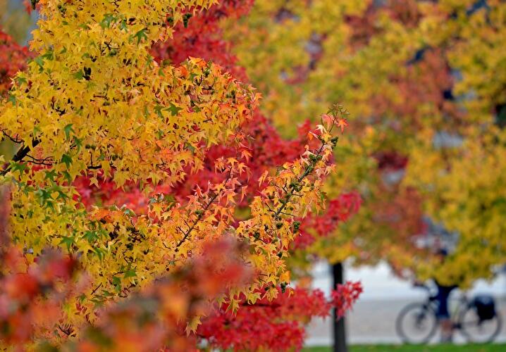 Herbst 2014