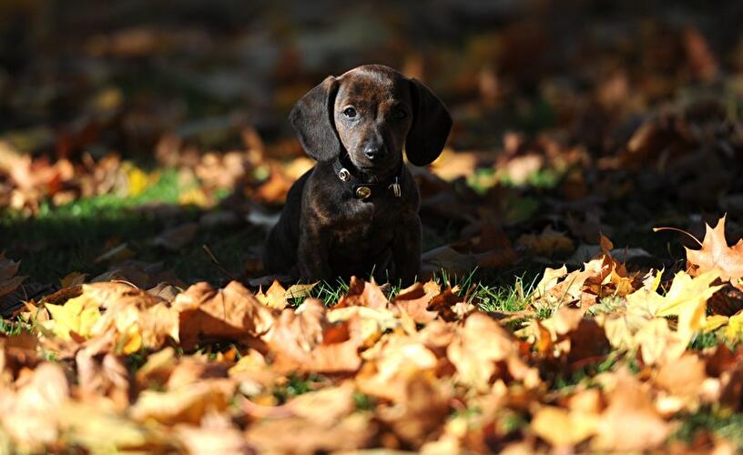 Herbst 2014
