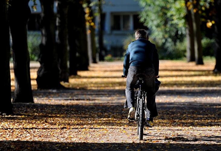 Herbst 2014