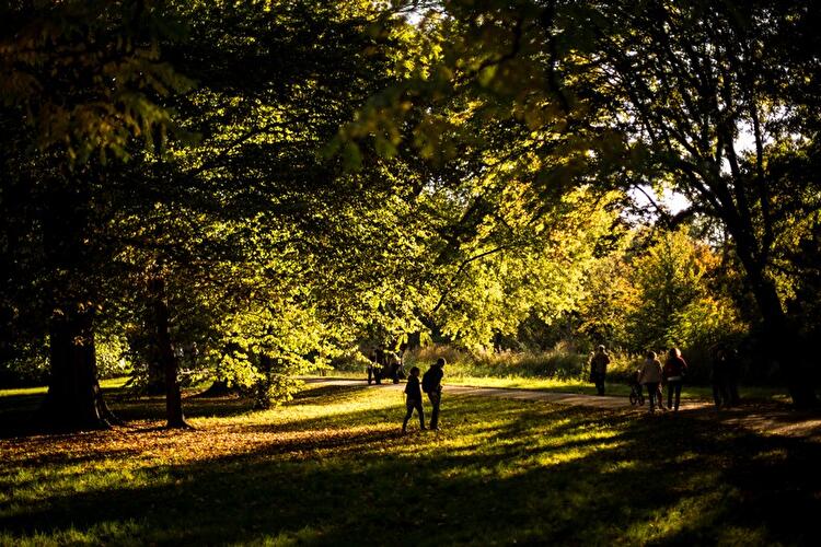 Herbst 2014