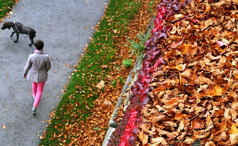 Herbst 2014