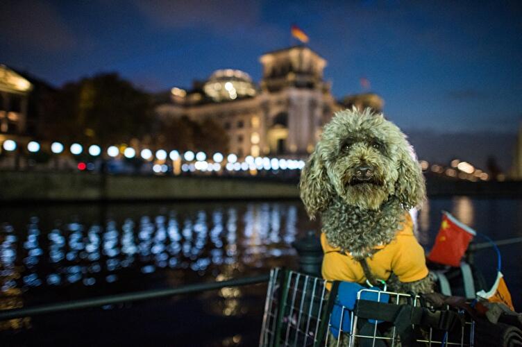 25 Jahre Mauerfall: Lichtgrenze