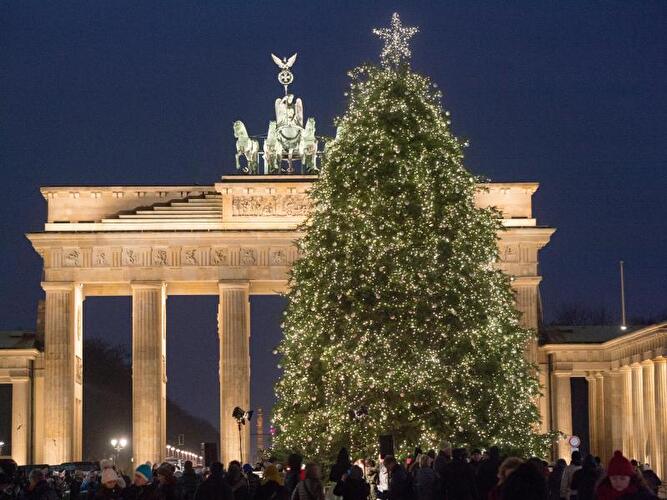 Christmas tree in front of the Brandenburg Gate