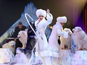 Roncalli Weihnachtscircus 2014