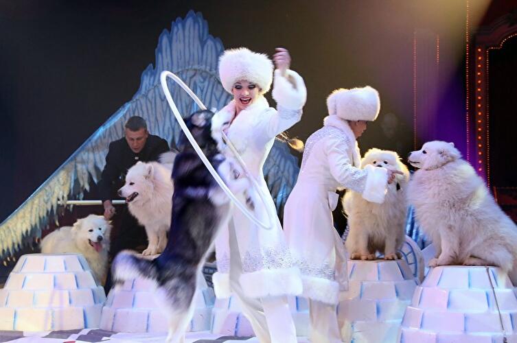 Roncalli Weihnachtscircus 2014