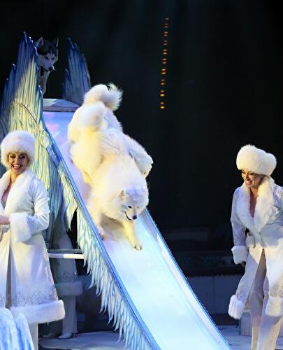 Roncalli Weihnachtscircus 2014