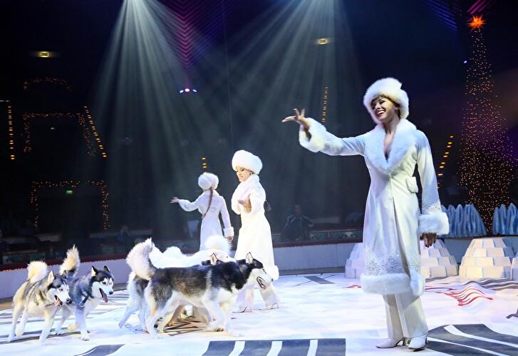 Roncalli Weihnachtscircus 2014