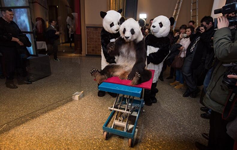 Panda-Ausstellung