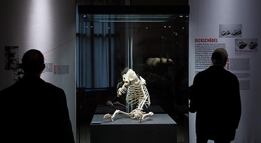 Panda-Ausstellung