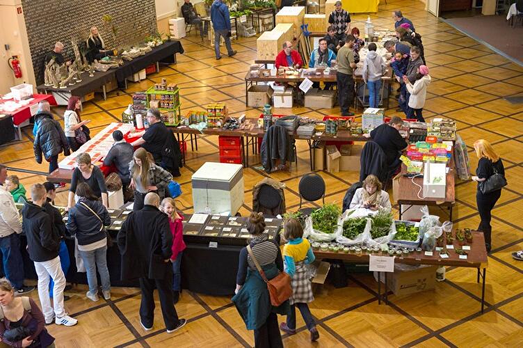 Terraristikbörse 2015