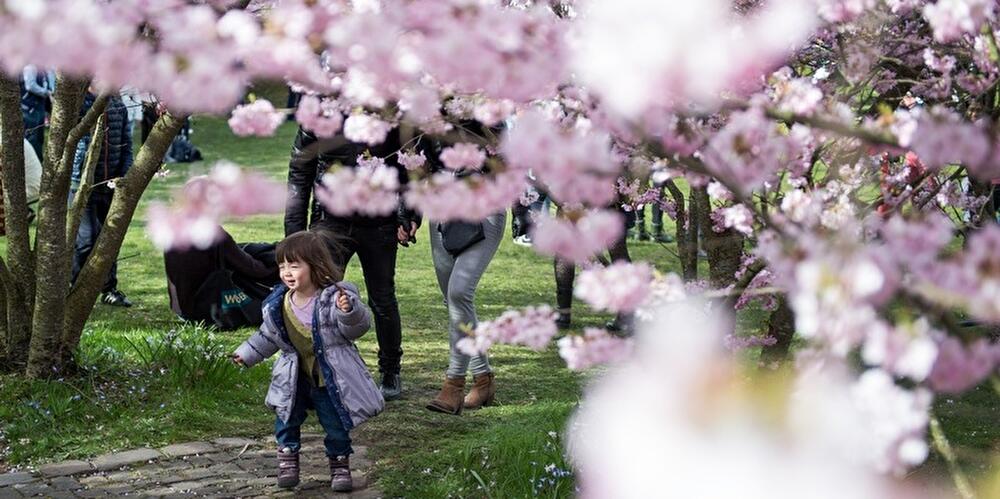 Gärten der Welt 2015