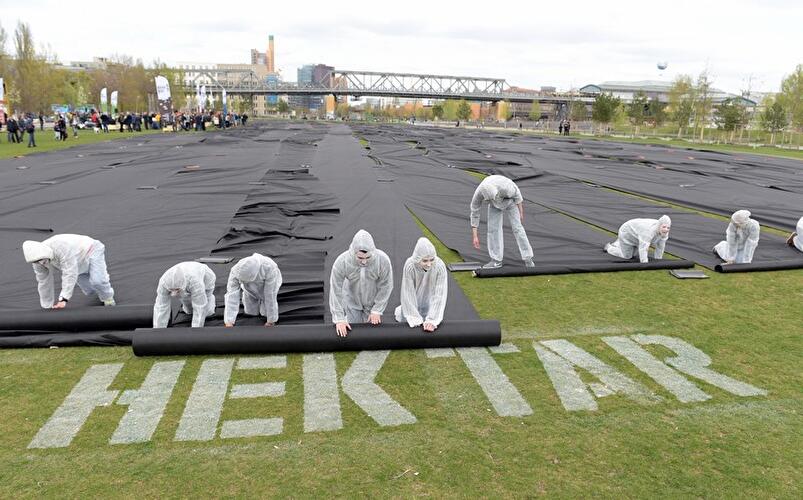 Installation "Ein Hektar"