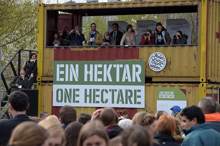 Installation "Ein Hektar"