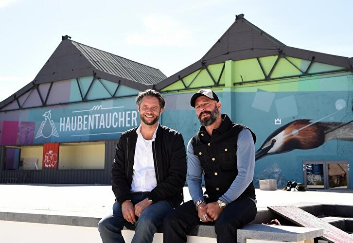 Haubentaucher