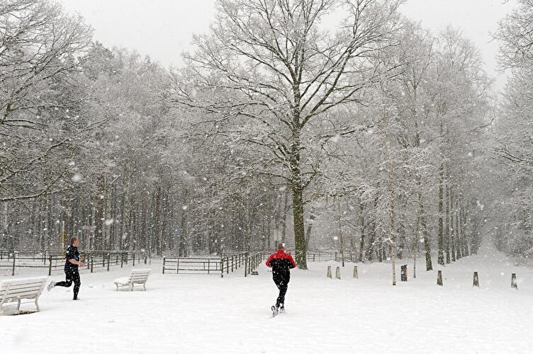 Grunewald