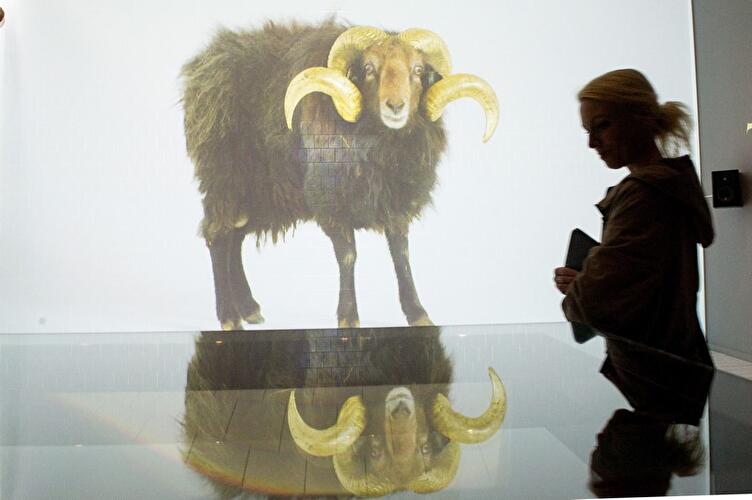 Gehorsam – Eine Installation in 15 Räumen von Saskia Boddeke & Peter Greenaway