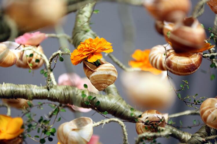 Weltmeisterschaft der Floristen