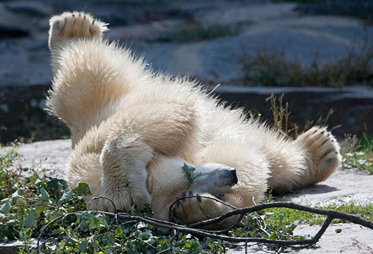 Tierpark Berlin
