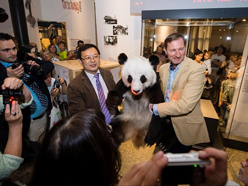 Abschied von Pandabärin Yan Yan