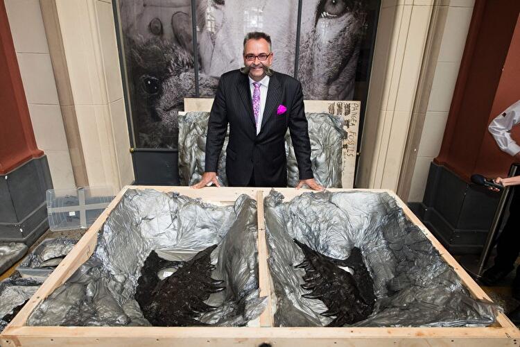 T-Rex im Museum für Naturkunde