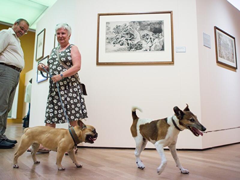 Hundeführung im Kupferstichkabinett