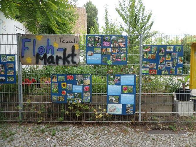 Prachttomate Neukölln