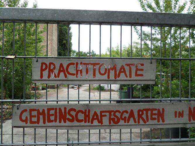 Prachttomate Neukölln