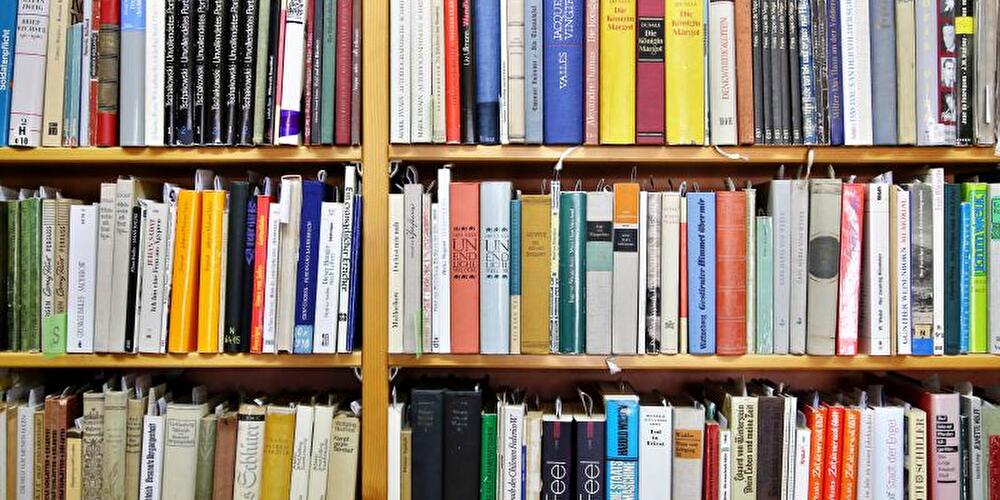 Bücher im Regal
