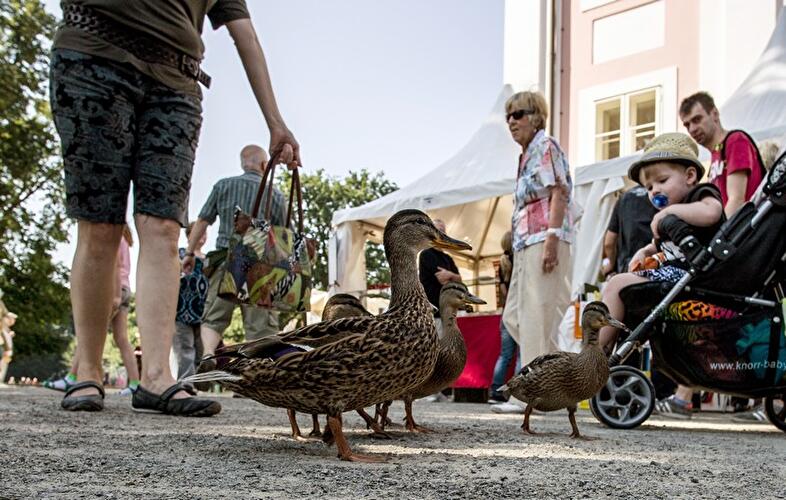 Schlossfest im Tierpark